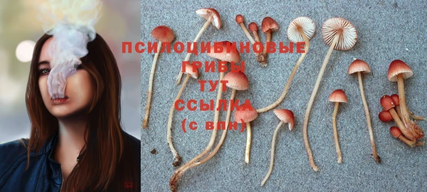 МДПВ Алексин