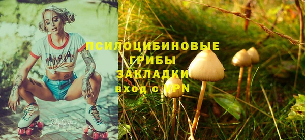 МДПВ Алексин