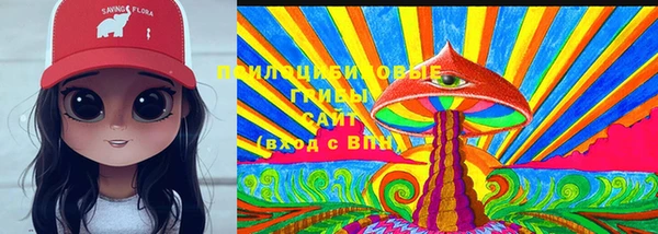 гидра Алексеевка
