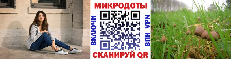 где купить наркоту  Тверь  Псилоцибиновые грибы Psilocybine cubensis 